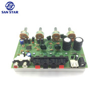 Profesyonel mini 12v 200W konsol oyunu 2 kanal bölüm güç kiti hifi ses pcb modülü stereo devre ses amplifikatörü kurulu