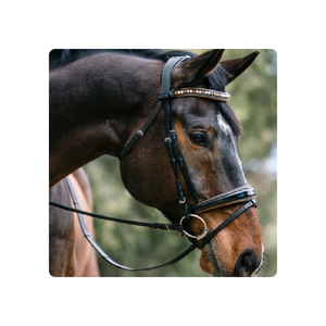 ชุดเดรสสายรัดสำหรับบังเหียนแบบพกพา Geneva สีดำมีท่อสีทองโลหะ - Product Image 1