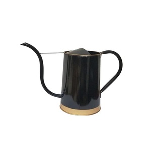 Arrosoir en métal de vente chaude pour les plantes d'extérieur et d'intérieur arrosoir de jardinage galvanisé avec poignées en acier inoxydable - Product Image 2