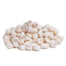 Premium Handpicked 18mm a 22mm Fox Nuts Producto agrícola de calidad superior - Product Image 4