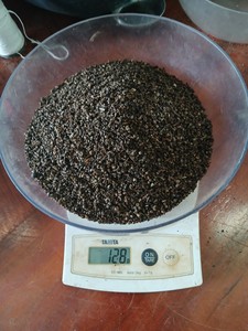 Pinhead TODOS LOS TAMAÑOS Tipo más barato Precio Pimienta negra Gran cantidad Ventas al por mayor Calidad de exportación MR THOMAS 84 789896886 - Product Image 3