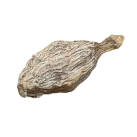 Épices entières de cardamome longues séchées à l'air pour usage culinaire, emballage en vrac, exportation OEM, conservation 24 mois
