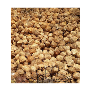 Noix de coco mûre à viande dense-Noix de coco mature pour la fabrication alimentaire-Parfait pour le stockage à long terme et l'utilisation en cuisine - Product Image 4