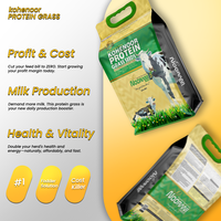 Graines de protéines de millet Kohenoor de qualité supérieure, fourrage nutritif de qualité A1 pour bétail, pureté 99,9 %, certifié HACCP, origine Pakistan