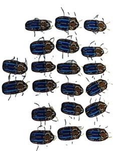 Ofertas de Parches de Bordado a Mano con Hilo Francés Dabka al por Mayor - Product Image 6