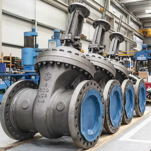 Vanne à vanne en acier au carbone Différents types de vannes Diverses vannes avec extrémités à bride 200psi - Product Image 1