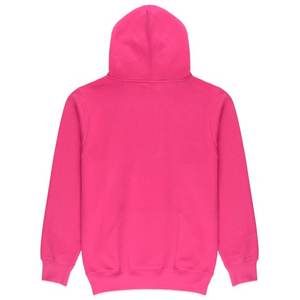 Sweat à capuche imprimé mode de haute qualité Logo personnalisé groupe personnel marque broderie hommes et femmes épais 100% coton pulls polaire - Product Image 5