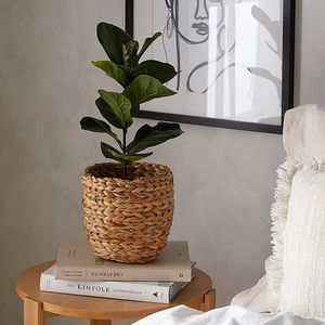 Cesta de Plantas de Jacinto de Agua para Decoración de Jardín Interior y Exterior, Hecha a Mano, Moderna, Elegante, Maceta Grande - Product Image 1