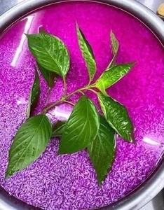 Food Grade Peristrophe Bivalvis Leaf Powder Wholesale Supply for Natural Color Applications and Manufacturing - Product Image 1