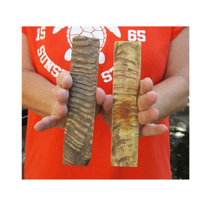 Plato de cuerno de oveja para MANGO de cuchillo Platos de cuenco Respetuoso con el medio ambiente para servir Tazón Cuerno de buey genuino - Product Image 1