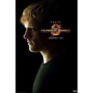 Hunger Games Peeta Animation Derivative <b>Poster</b> - Product Image 1