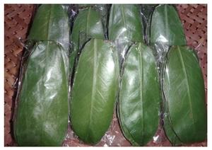 Con gran oferta, precio barato, 2024 Hojas de Guanábana secas de alta calidad, suplemento alimenticio de alta calidad - Product Image 2