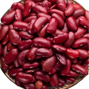 Premium Organic Dried Red Kidney <b>Beans</b>-High Quality Bulk Wholesale Healthy <b>Beans</b> - Product Image 1