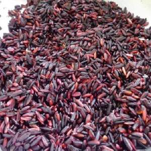 Arroz negro de alta calidad, el mejor proveedor, venta al por mayor, para vacaciones, 2022 - Product Image 2