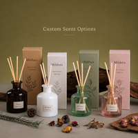 Diffuseur d'huiles essentielles personnalisé écologique, parfum pêche, sans flamme, élégant, inspiré d'Instagram, créatif pour la maison