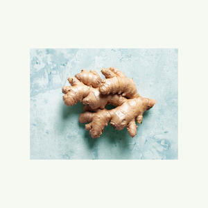 Jengibre Fresco Joven de EE. UU. a Granel a Precio de Mayoreo - Product Image 2