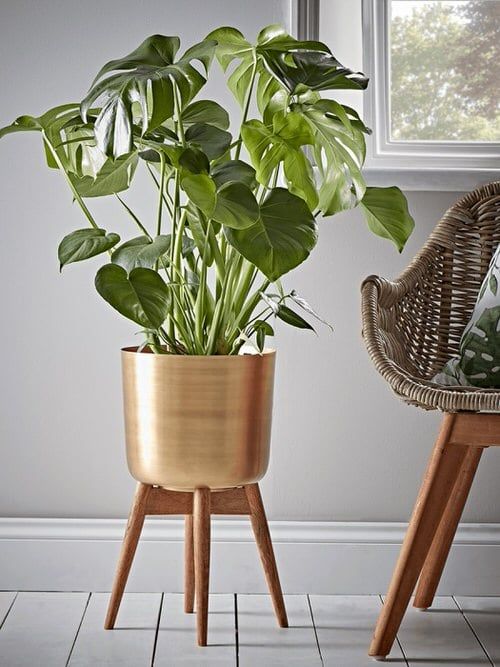 Brass Plant Pots - Elegant Home Decor for Indoor & Outdoor