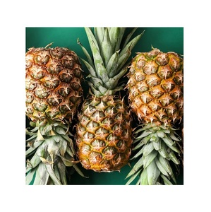 Fournisseur en gros d'ananas frais de qualité supérieure, ananas frais et sucrés - Product Image 3