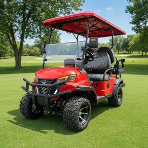 Voiturette de golf électrique personnalisée de haute qualité, 4 places, à batterie, nouvelle énergie, tout-terrain, prix usine - Product Image 6