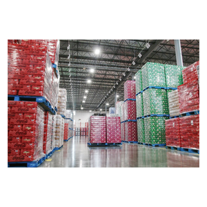 Boisson Coca Colaa en vrac idéale pour la vente au détail et la distribution - Product Image 2