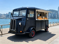 Remorque de Gyros Méditerranéens avec Grille Verticale pour Viande et Chauffe-Pita pour Déjeuner de Rue Grec et Service Rapide sur Campus Universitaire
