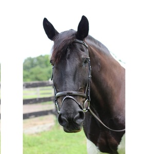 Bride anatomique nouvelle couleur cuir de cheval noir Stanford Bride anatomique Bride anatomique en cuir de cheval anatomique Bride anatomique en cuir de cheval - Product Image 2