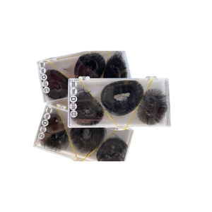 Extensiones de Pestañas Sintéticas CC de Volumen Completo, Gruesas, Profesionales, Pre-fabricadas 20D, para Uso Estético, Suministro al por Mayor de Fabricante Vietnamita - Product Image 1