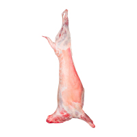 Carcasse d'agneau halal fraîche surgelée IQF de qualité supérieure 18 kg emballage en vrac nutritif Afrique du Sud