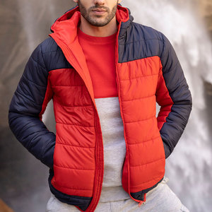 Veste en duvet de haute qualité pour hommes, sweat à capuche, logo personnalisable, vente en gros d'usine pour la saison d'hiver, col montant - Product Image 4