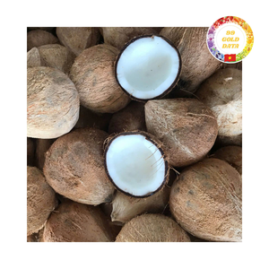 Semi noix de coco Premium: Prix d'usine Semi noix de coco, haute qualité du Vietnam - Product Image 5