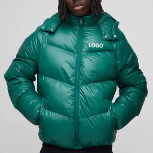Chaqueta Acolchada Impermeable para Hombre de Alta Calidad al por Mayor, con Capucha y Logotipo Personalizado en la Parte Delantera, Estilo Urbano Personalizable para Invierno - Product Image 1