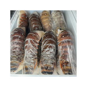 กุ้งมังกรแช่แข็งเกรดส่งออก - Product Image 6