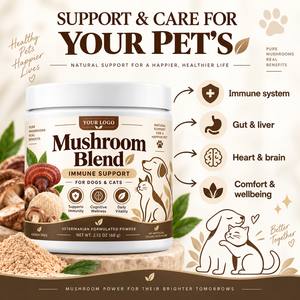 BOBBI PURE OEM ODM Poudre de champignons pour chiens et chats <span class=keywords><strong>Crinière</strong></span> de lion, Reishi rouge, Queue de dinde, Sans céréales, Complément alimentaire pour animaux de compagnie, Immunité et Cognition - Product Image 2