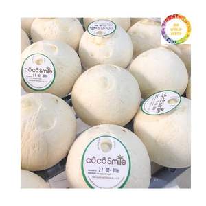 มะพร้าวหวานเวียดนามแท้ราคาดีที่สุด-ดึงสะดวก - Product Image 5