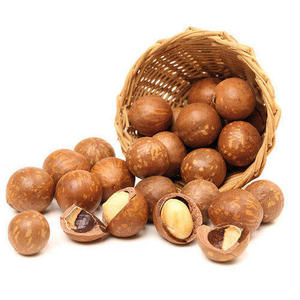 High Quality <b>Macadamia</b> <b>Nuts</b> In <b>Shell</b> Kernel <b>Bulk</b> Supply Fresh <b>Macadamia</b> Supplier - Product Image 3