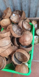 Suministro a Granel de Cáscara de Coco de Vietnam, Ideal para Talleres Artesanales, Plantas de Carbón Vegetal y Acuerdos de Exportación a Largo Plazo - Product Image 5