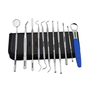 Outils dentaires Lot de 10 outils de soins bucco-dentaires en acier inoxydable pour enlever la plaque dentaire Kit en acier inoxydable avec étui - Product Image 1
