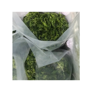 ผงสกัดสาหร่ายสีเขียวอบแห้งจากสหภาพยุโรป - Product Image 2
