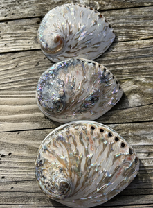 เปลือกหอยเป๋าฮื้อที่มีสีสันจากเวียดนามสำหรับใช้ในการออกแบบงานศิลปะของตกแต่งบ้านเครื่องประดับและงานฝีมือตามสั่ง - Product Image 3