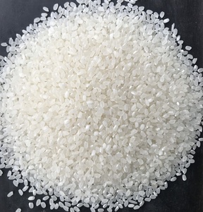Proveedor confiable de Vietnam de arroz japonés blanco Japonica con 5% de grano roto para sushi, arroz seco para restaurantes japoneses. Contacto: +84 944500504 - Product Image 1