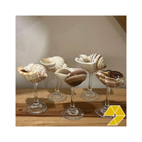 Verre à vin en coquillage naturel du Vietnam, fait main, design classique, compatible lave-vaisselle, pour hôtel, restaurant, bar, événements, décoration de table