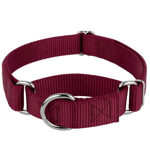 Collier pour chien réglable en nylon durable 2025 avec boucle métallique à dégagement rapide et anneau en D, écologique, personnalisable, service OEM - Product Image 4