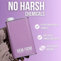 Lessive liquide concentrée à base de plantes 32oz 50 lavages Parfum inspiré des créateurs Écologique Vente en gros OEM