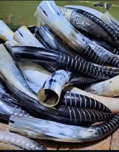 Nouvelle conception sculptée de corne à boire Viking la plus vendue avec logo Corne à boire Viking authentique par artisanat en croissant - Product Image 5