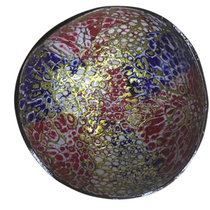 Juego de cuencos de cáscara de coco orgánicos hechos a mano para cuencos de Acai y Buda, vida sostenible, cubiertos ecológicos, cuchara, ensaladera - Product Image 1