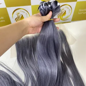 Bonestraight Vietnam Hair Bundels Pruiken Leveranciers Groothandel Dubbel Getekende Rauwe Maagdelijke Hd Kant Zwitserse Frontale Sluiting Grey Hot Trending