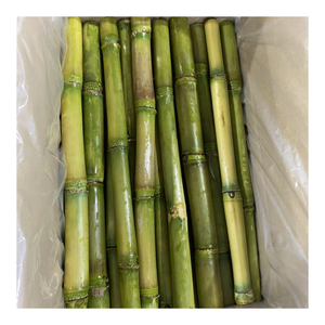 Palitos de caña de azúcar congelados de alto grado de Vietnam que conservan el sabor dulce perfecto para fines de procesamiento de bebidas y culinario - Product Image 3
