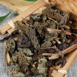 Meilleur choix feuille de shiso vert bon marché approvisionnement en feuilles de périlla végétale du meilleur producteur - Product Image 5