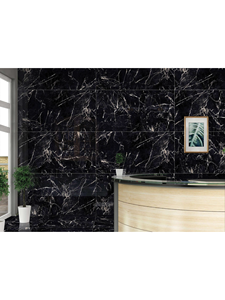 NOIR FLEMINGO SUPER HAUTE BRILLANCE (800*1600MM) - Product Image 3