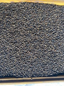 Phalco ผลิตเมล็ดพริกไทยดําบริสุทธิ์จํานวนมาก 50 กก. เครื่องเทศดิบแห้งเดี่ยวแพ็คเก็ตพรีเมี่ยมราคาขายส่งอายุการเก็บรักษา 2 ปี - Product Image 4